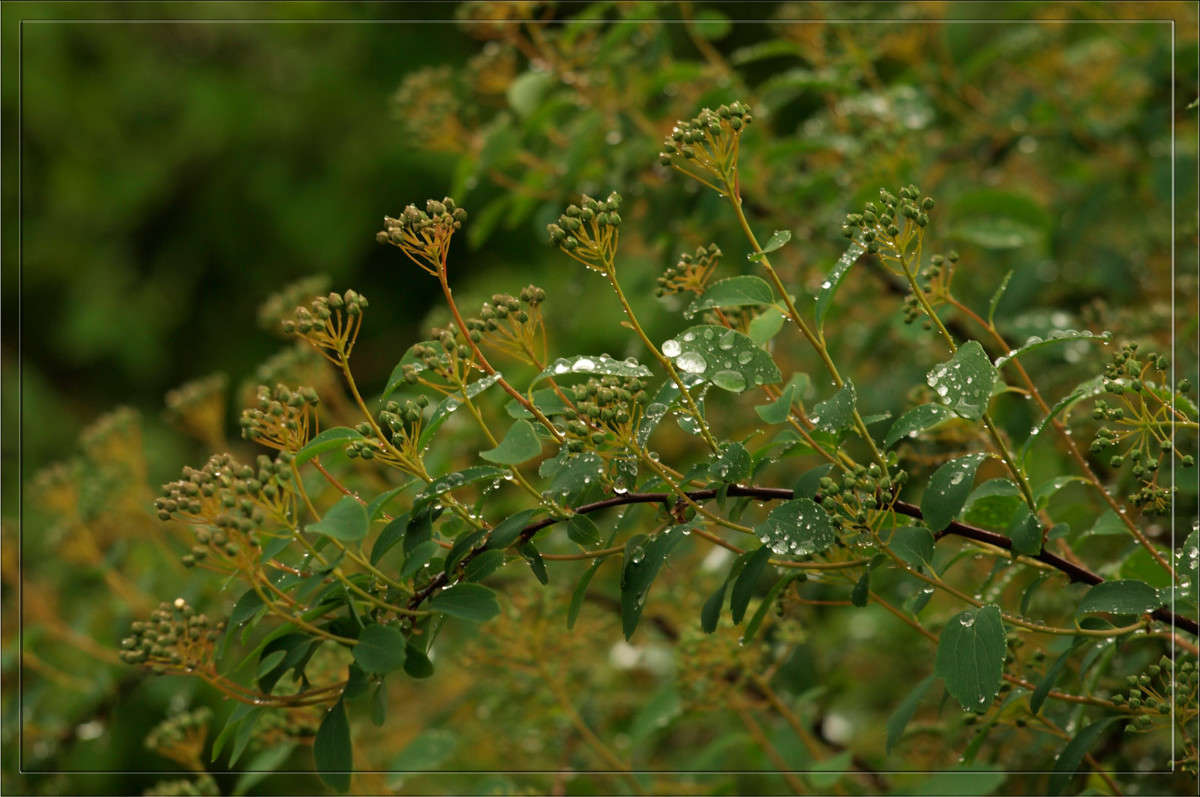 � ��������� ���� ����� ������  �� PhotoGeek.ru #������ ��� �������