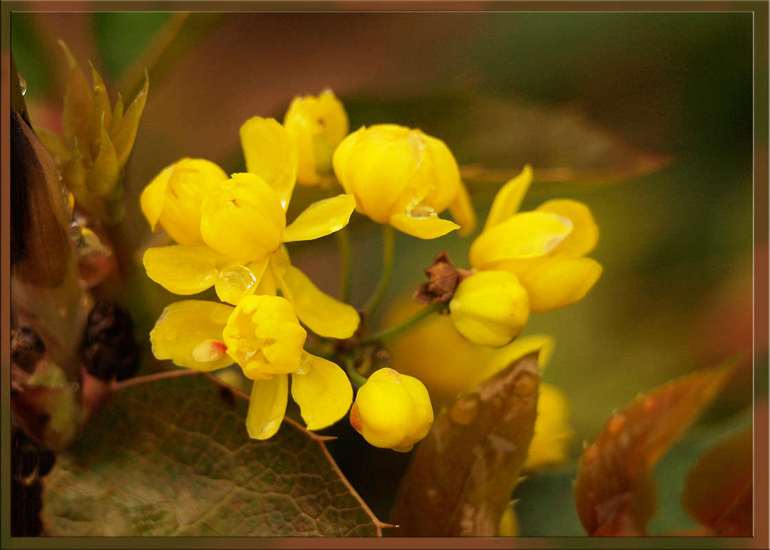 � ��������� ���� 2 ����� ������  �� PhotoGeek.ru #������ ��� �������