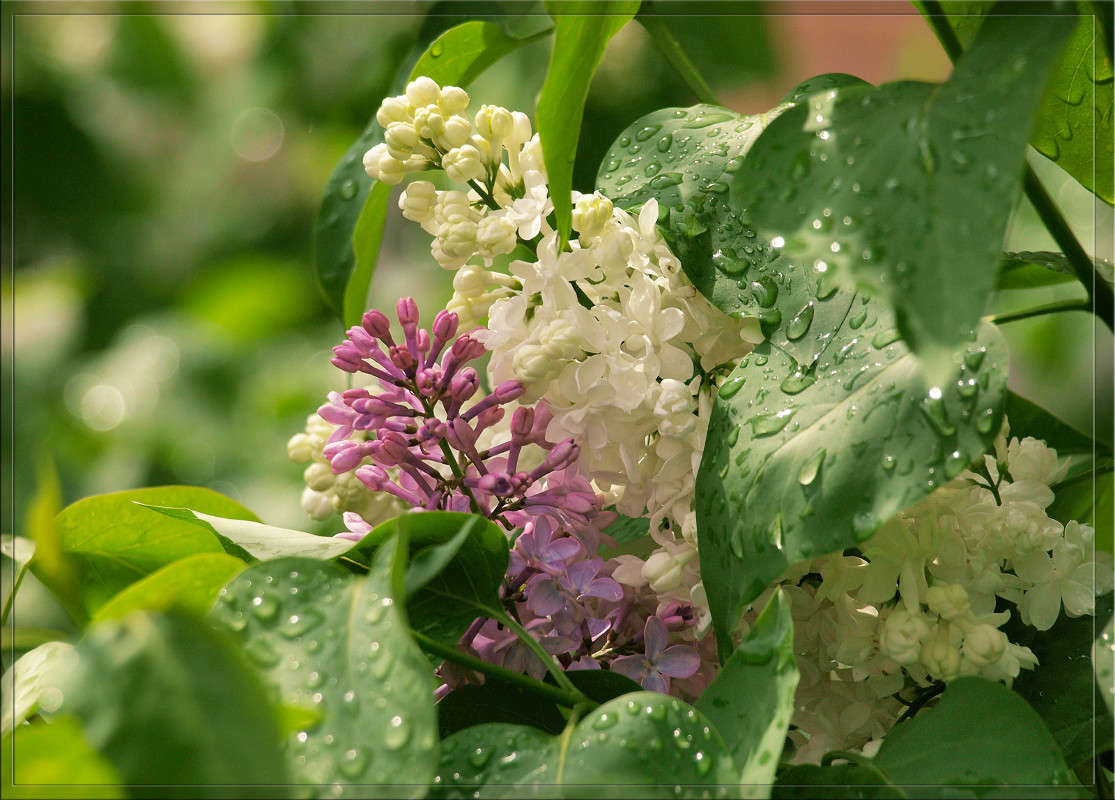 � ��������� ���� 3 ����� ������  �� PhotoGeek.ru #������ ��� �������