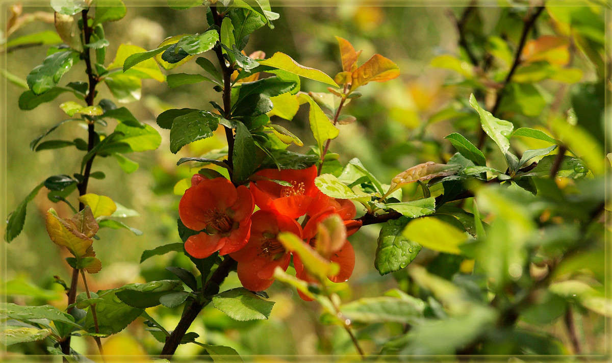 � ��������� ���� 4 ����� ������  �� PhotoGeek.ru #������ ��� �������