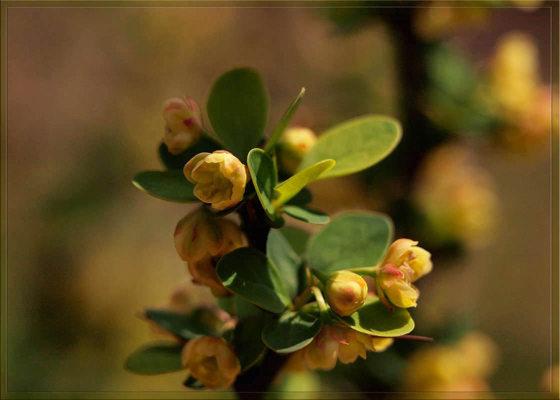 �������� ������� ����� ������  �� PhotoGeek.ru #������ ��� �������