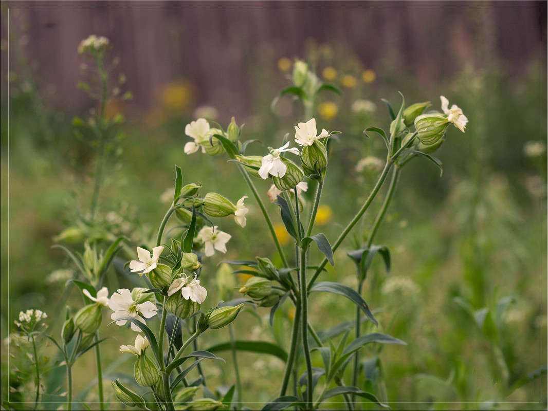 ��������� ����� ����� ������  �� PhotoGeek.ru #������ ��� �������