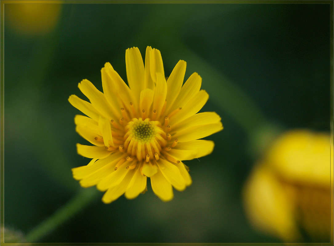 ��������� ����� 2 ����� ������  �� PhotoGeek.ru #������ ��� �������