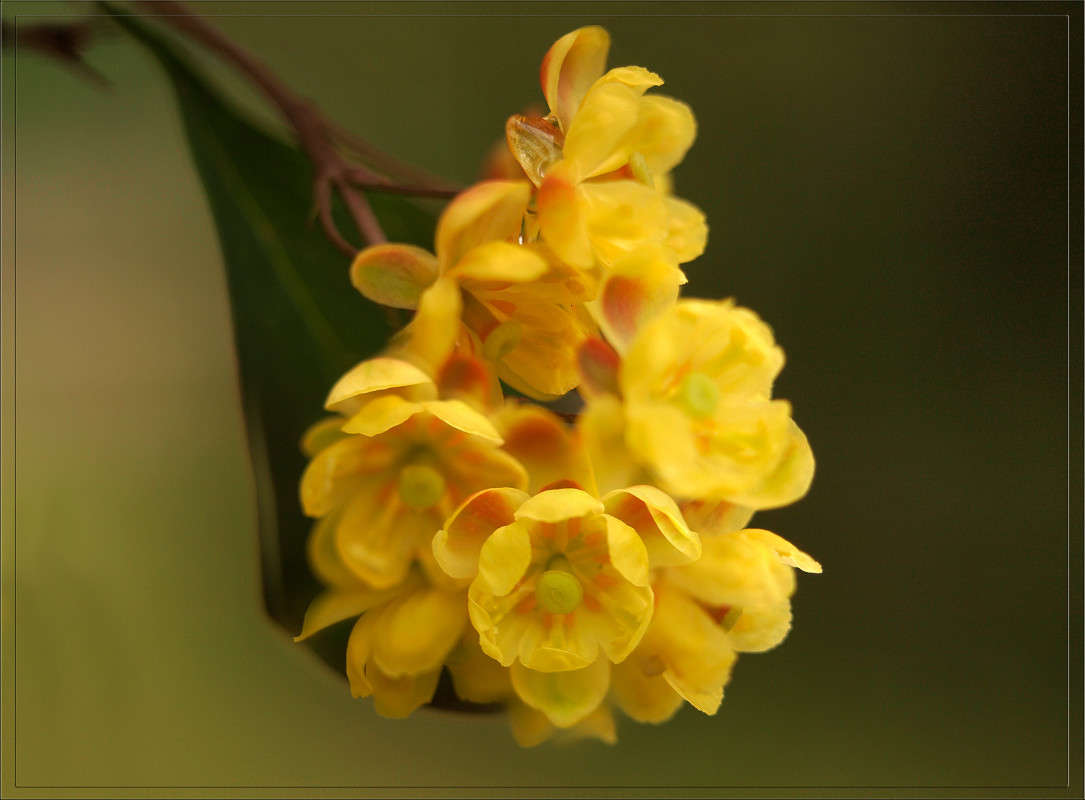 ��������� ����� 3 ����� ������  �� PhotoGeek.ru #������ ��� �������