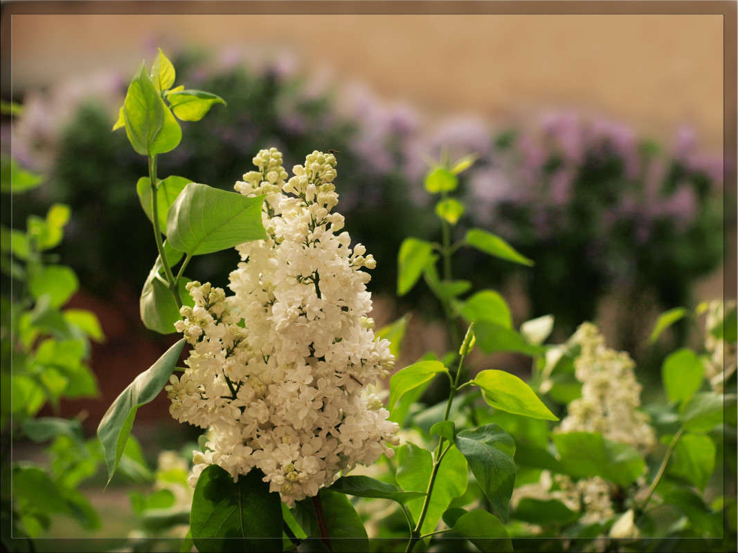 �������� ����� ������  �� PhotoGeek.ru #������ ��� �������