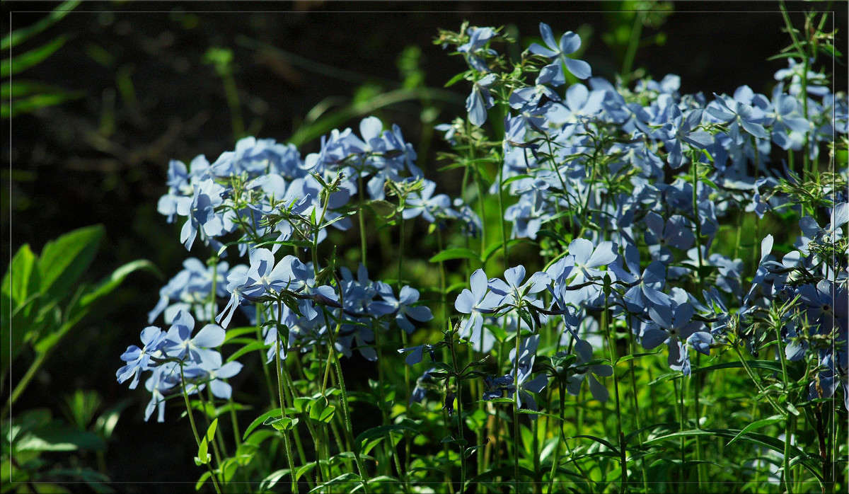 ���� ����� ����� ������  �� PhotoGeek.ru #������ ��� �������