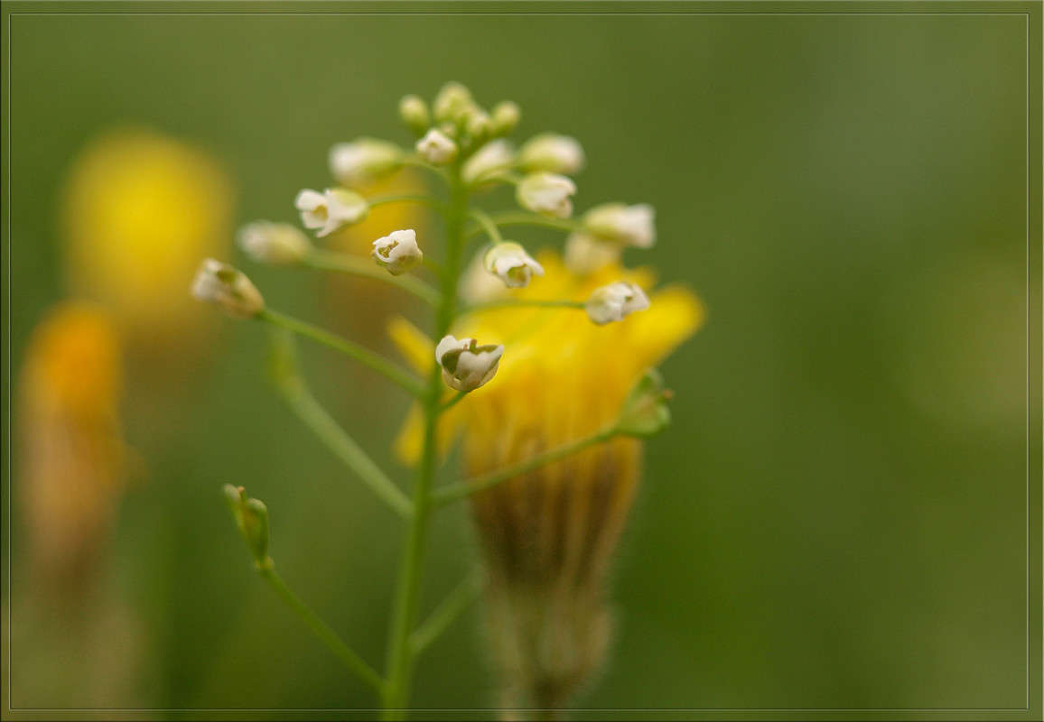 ���� ����� 2 ����� ������  �� PhotoGeek.ru #������ ��� �������