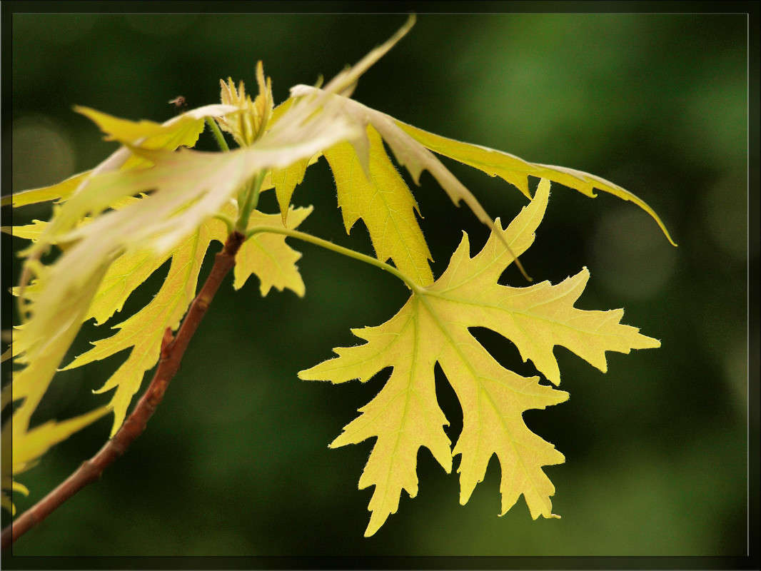 ������ 30 ����� ������  �� PhotoGeek.ru #������ ��� �������