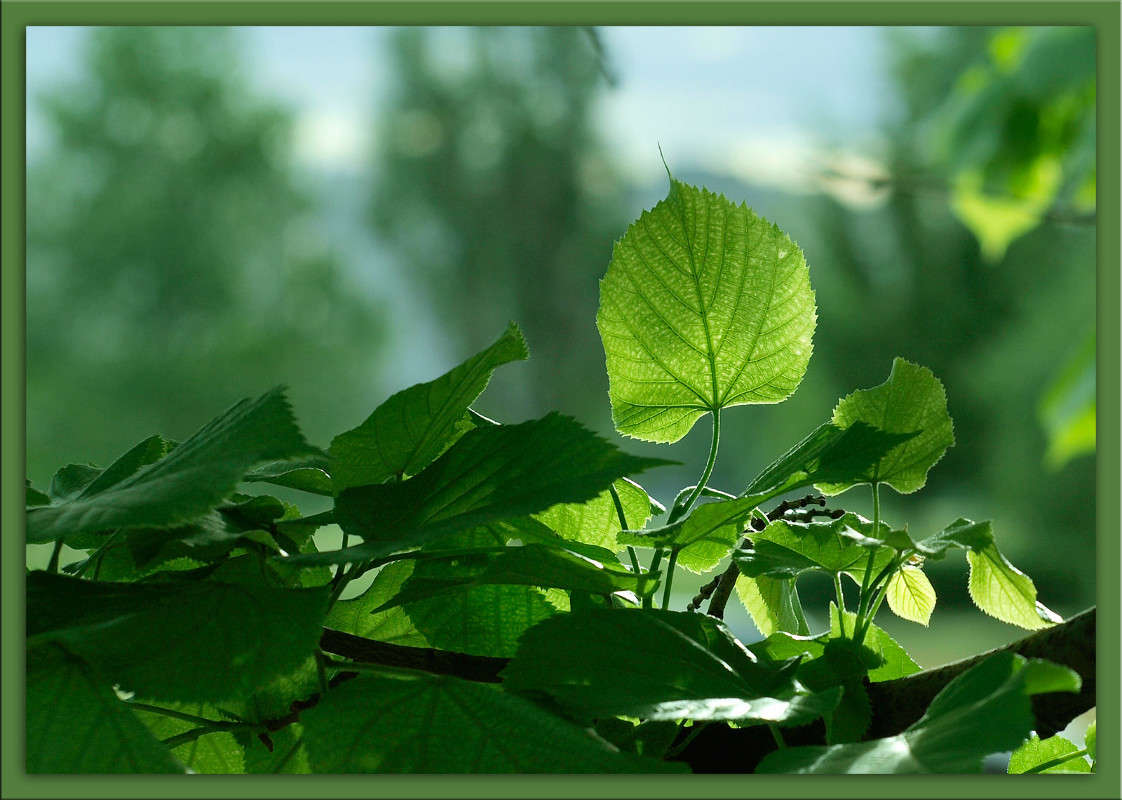 � �������� �� ������� ����� ������  �� PhotoGeek.ru #������ ��� �������