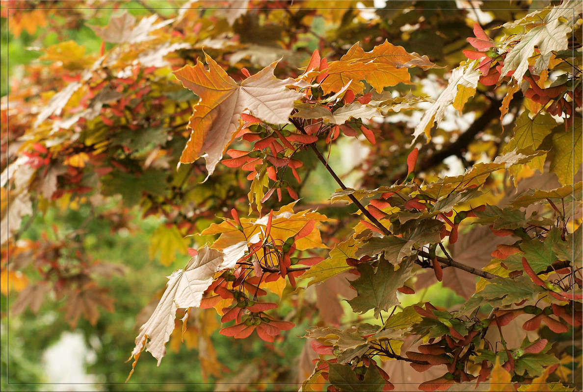 ���� ������������ ����� ������  �� PhotoGeek.ru #������ ��� �������