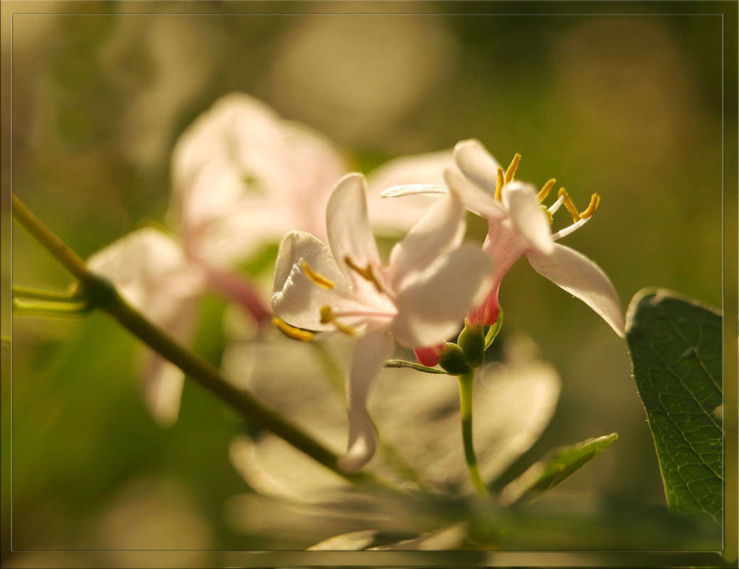 � �������� ����� ����� ������  �� PhotoGeek.ru #������ ��� �������