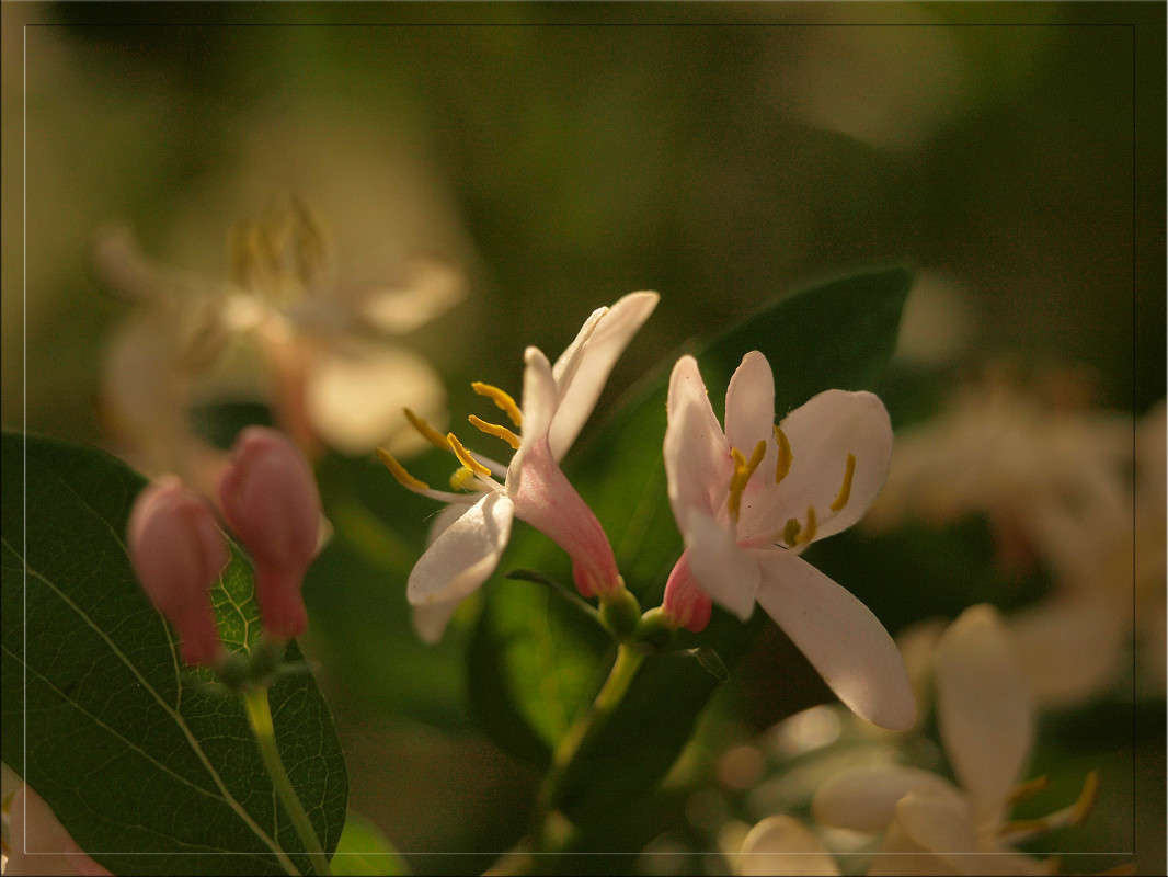 � �������� ����� 2 ����� ������  �� PhotoGeek.ru #������ ��� �������