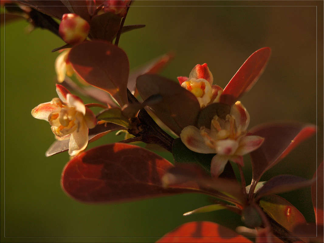 � �������� ����� 3 ����� ������  �� PhotoGeek.ru #������ ��� �������