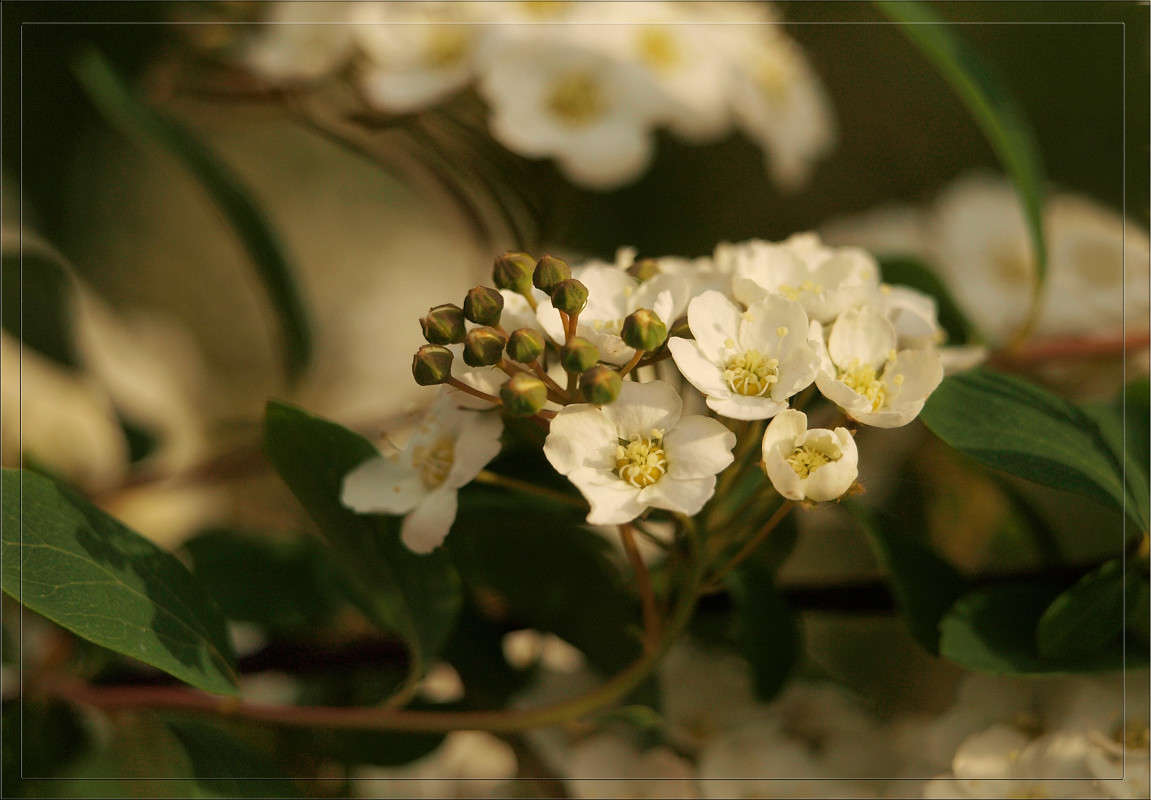 � �������� ����� 4 ����� ������  �� PhotoGeek.ru #������ ��� �������