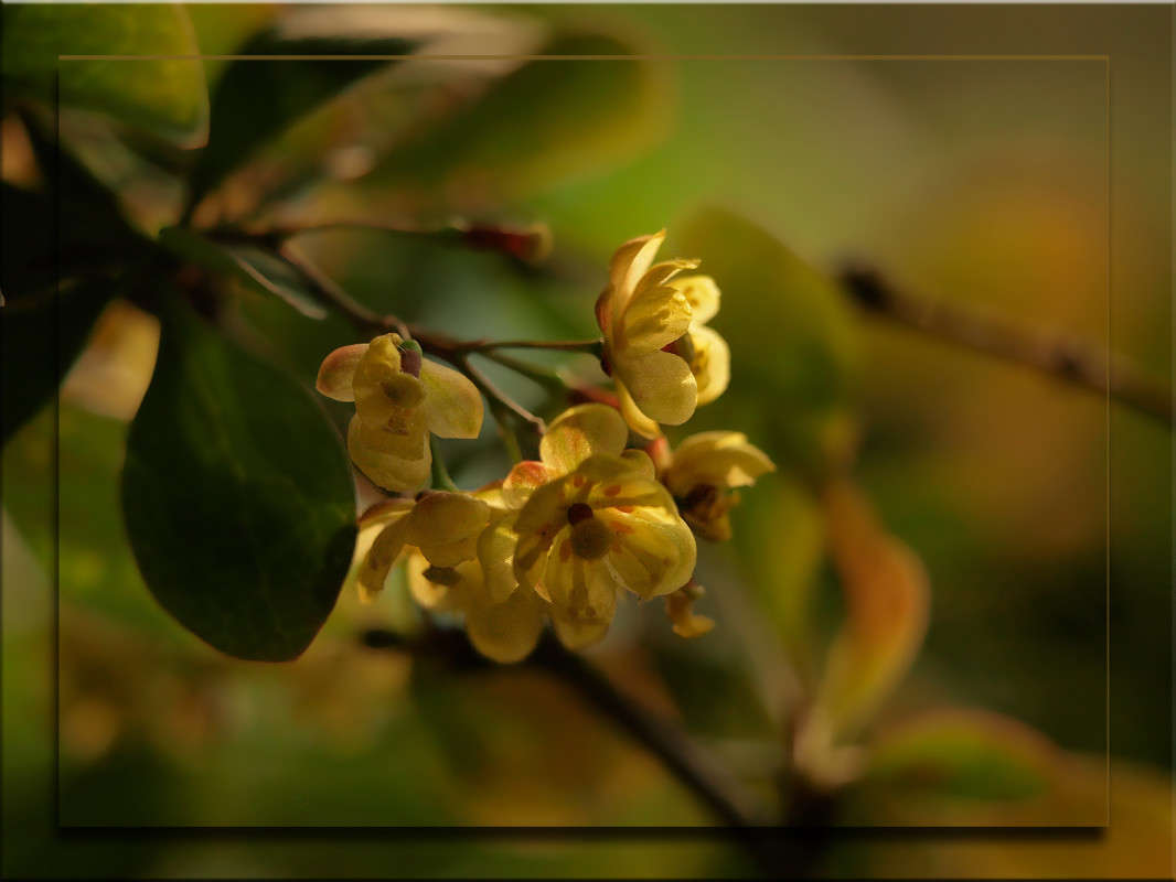 � �������� ����� 5 ����� ������  �� PhotoGeek.ru #������ ��� �������