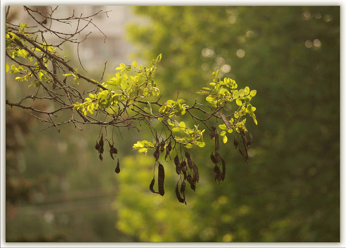 � �������� ����� 7 ����� ������  �� PhotoGeek.ru #������ ��� �������