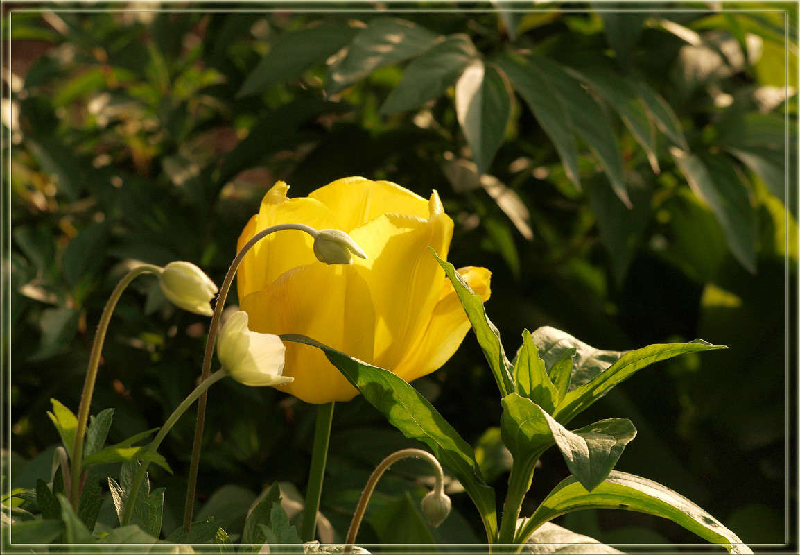 � �������� ����� 6 ����� ������  �� PhotoGeek.ru #������ ��� �������