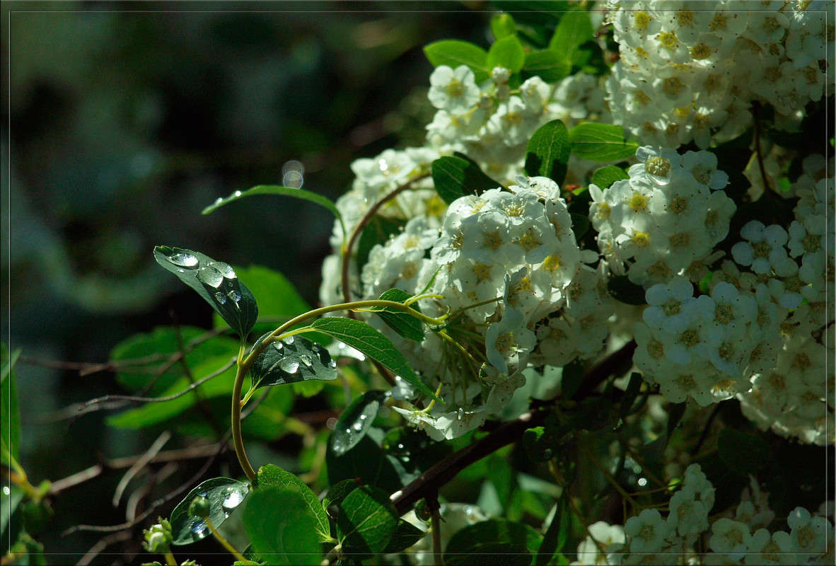 ����� ����� ����� ������  �� PhotoGeek.ru #������ ��� �������