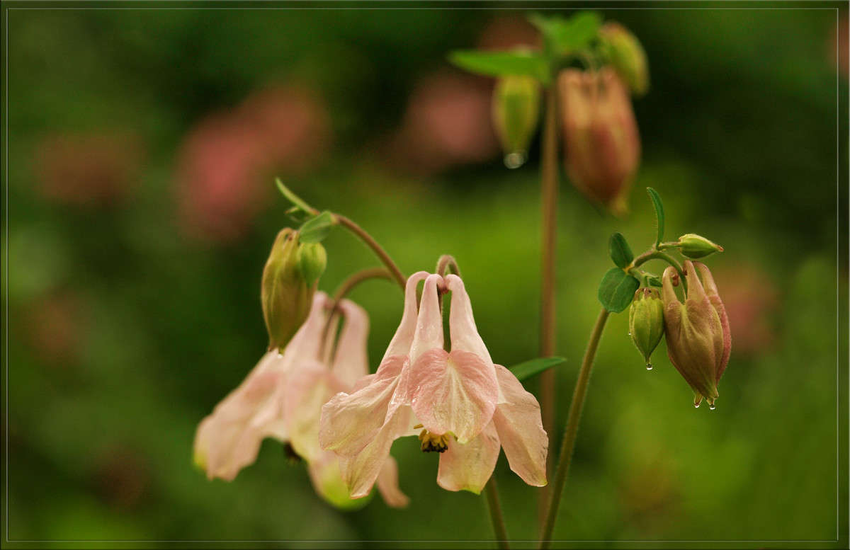 �������� ����� 5 ����� ������  �� PhotoGeek.ru #������ ��� �������