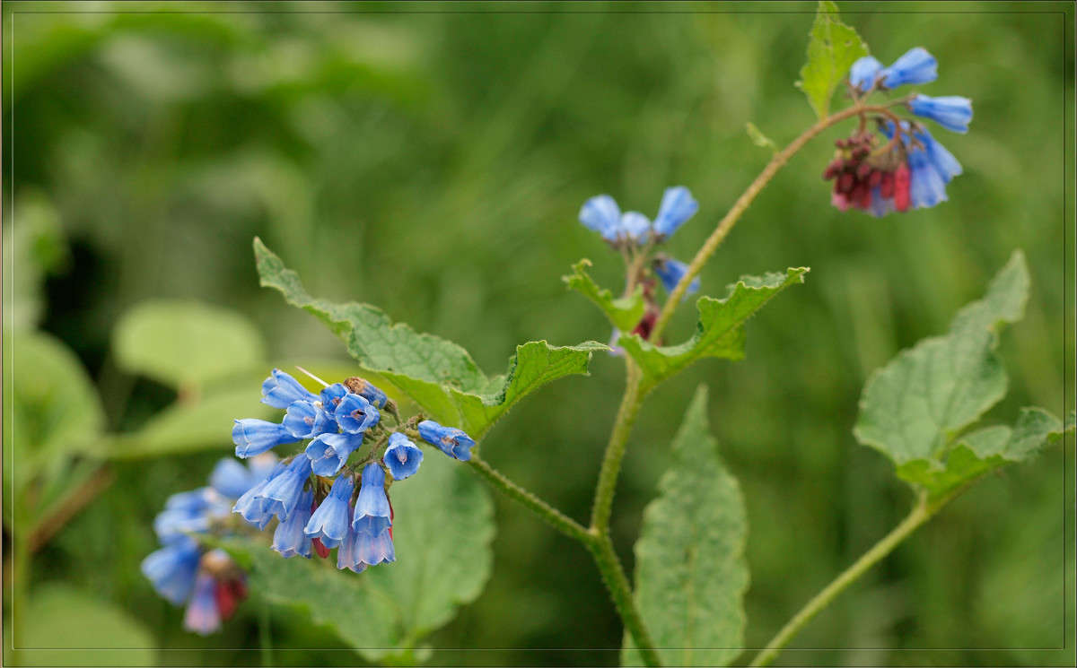 ��������� ����� 6 ����� ������  �� PhotoGeek.ru #������ ��� �������