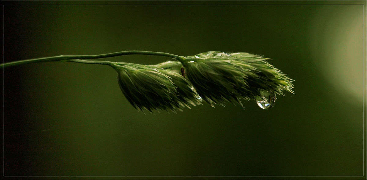 ��������� ����� ������  �� PhotoGeek.ru #������ ��� �������