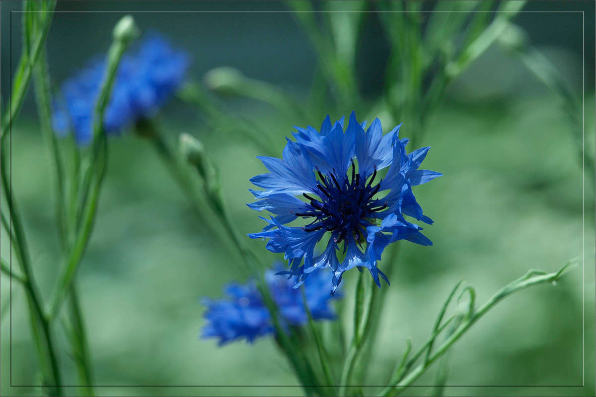 ������� � ������� ����� ������  �� PhotoGeek.ru #������ ��� �������