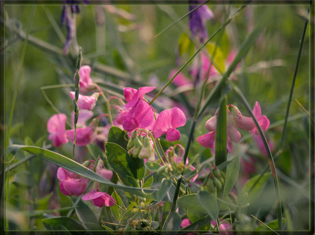 � ������ ���� 2 ����� ������  �� PhotoGeek.ru #������ ��� �������