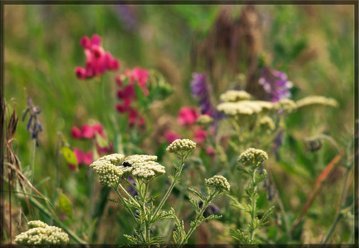 � ������ ���� 4 ����� ������  �� PhotoGeek.ru #������ ��� �������