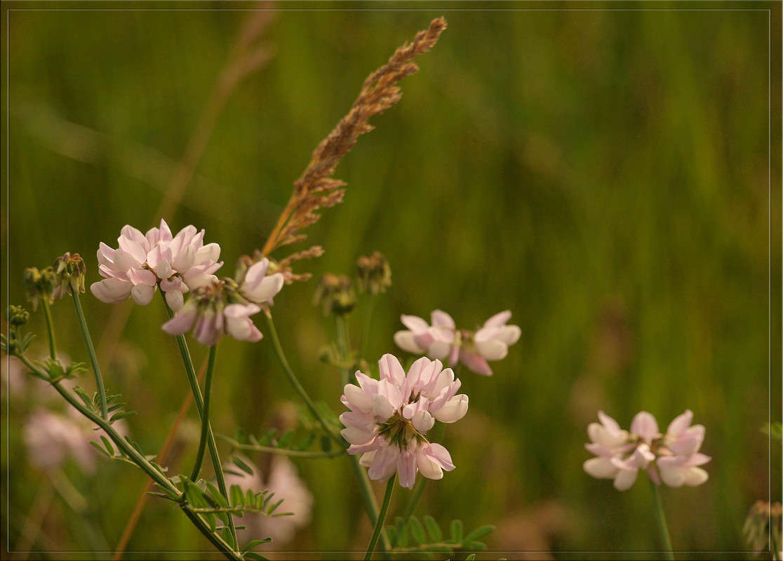 � ������ ���� 7 ����� ������  �� PhotoGeek.ru #������ ��� �������