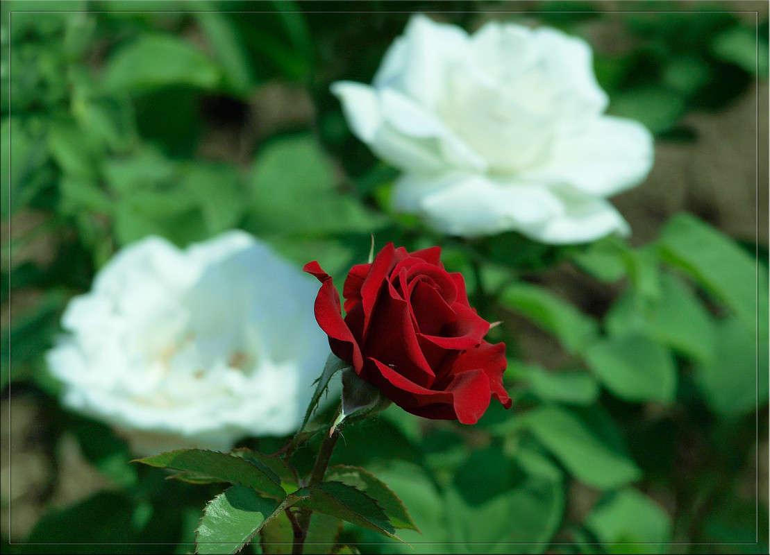 ������� � ����� ����� ������  �� PhotoGeek.ru #������ ��� �������