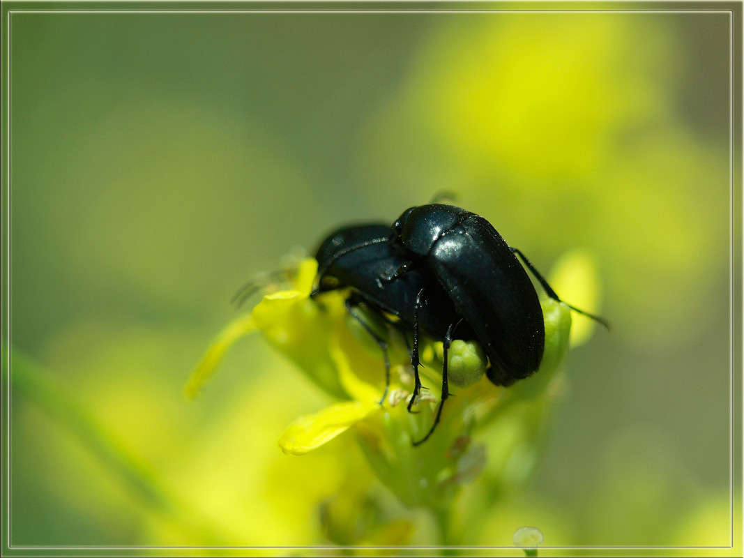 ������� ������� ����� ������  �� PhotoGeek.ru #�����