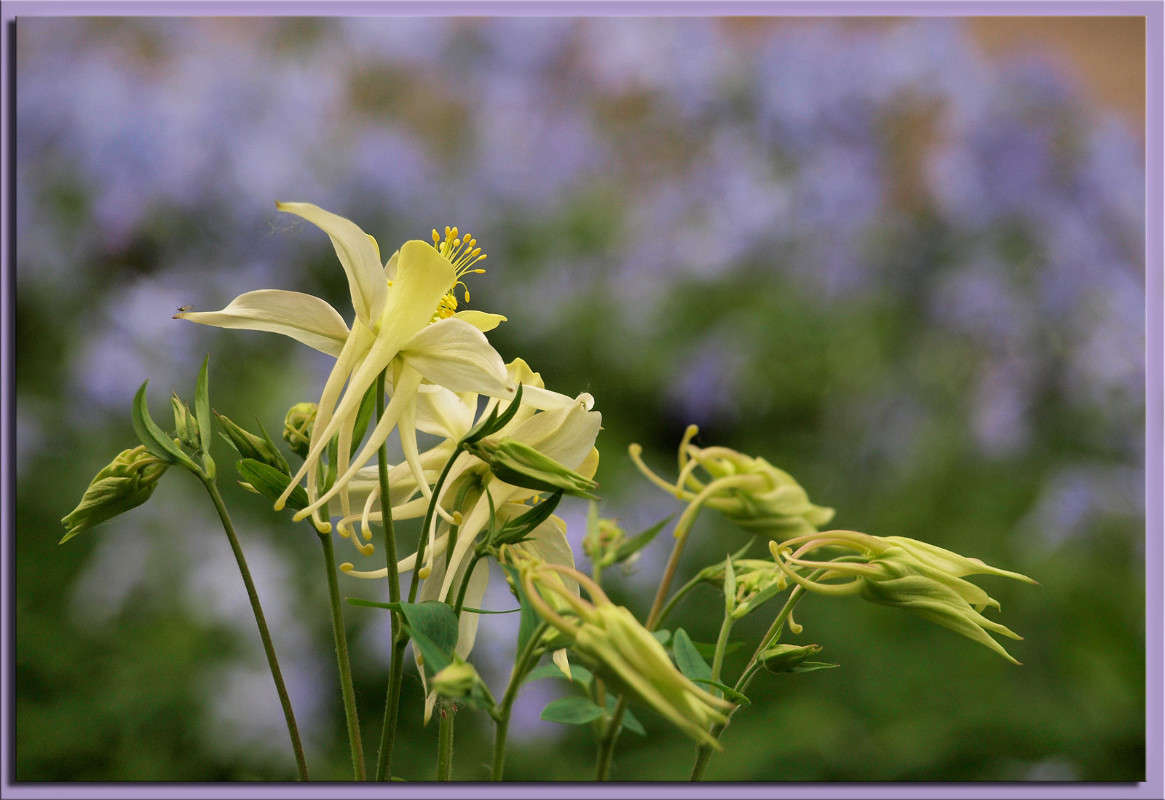 �������� � ���������� ����� ������  �� PhotoGeek.ru #������ ��� �������