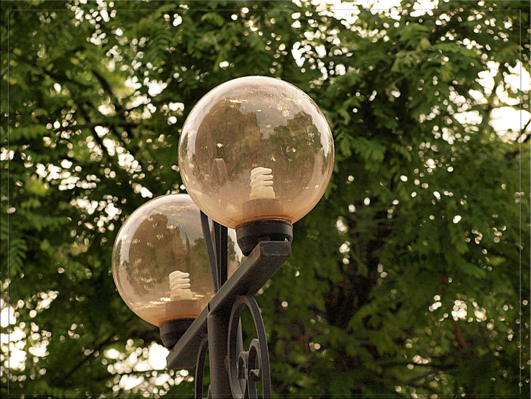 "�������" ������ ����� ������  �� PhotoGeek.ru #�����