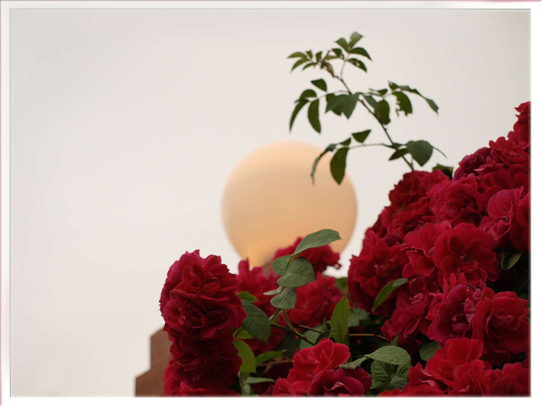 ������ � ���� ����� ������  �� PhotoGeek.ru #������ ��� �������