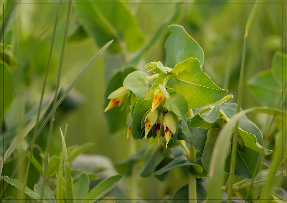 � ������ ���� 8 ����� ������  �� PhotoGeek.ru #������ ��� �������