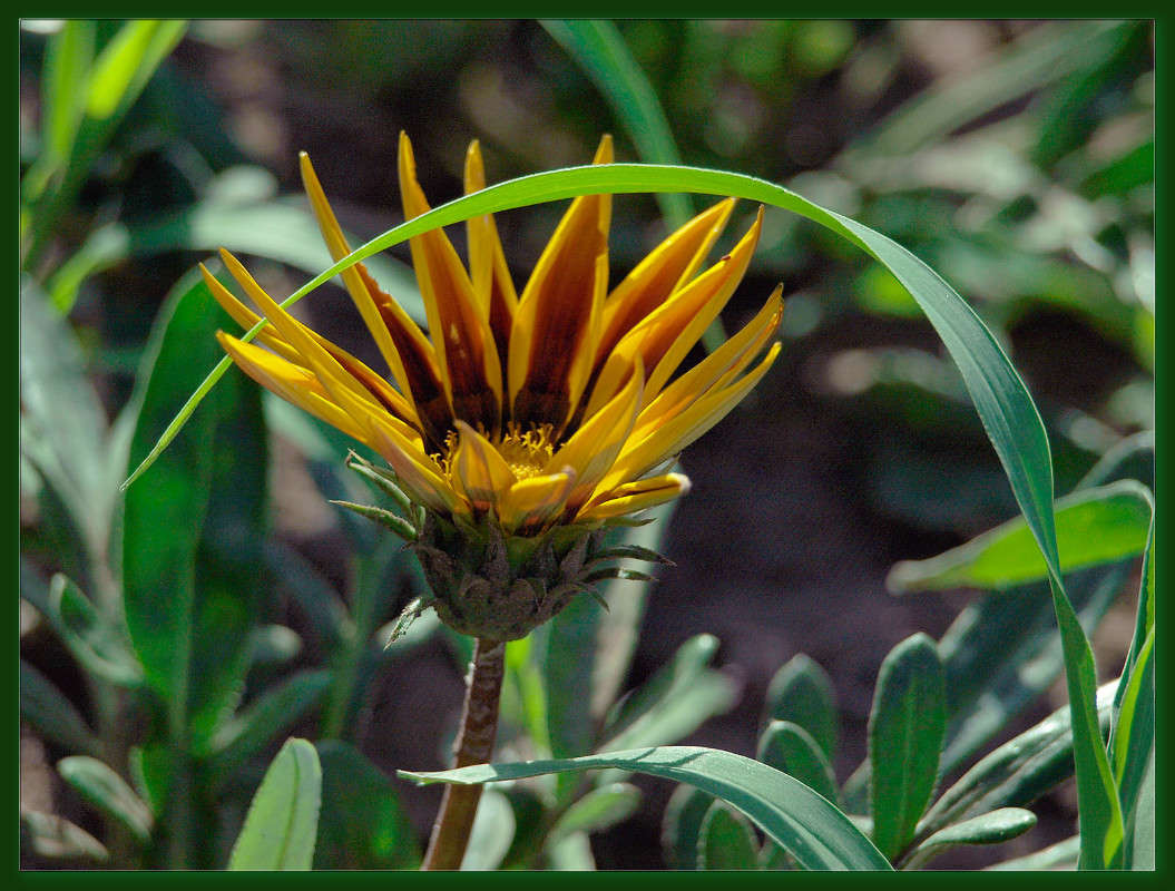 ���������� �������� ����� ������  �� PhotoGeek.ru #������ ��� �������