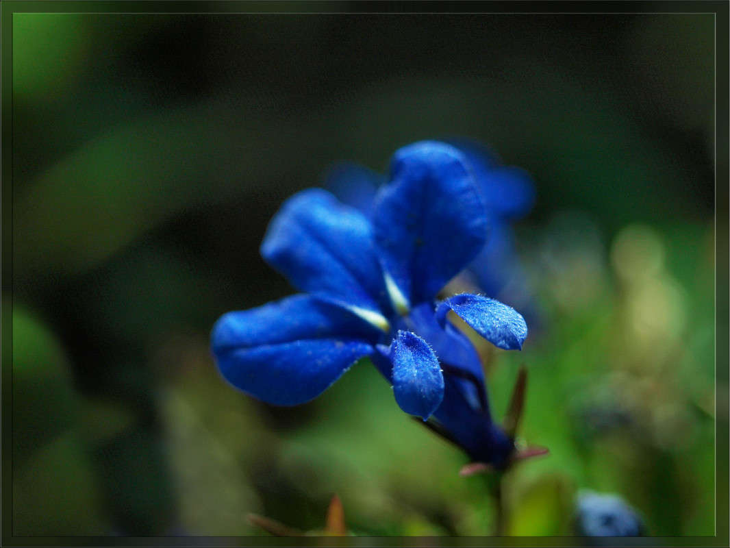 ��� �� ���� ����� ������  �� PhotoGeek.ru #������ ��� �������