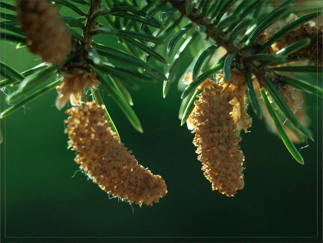 ����������� ����� ����� ������  �� PhotoGeek.ru #������ ��� �������