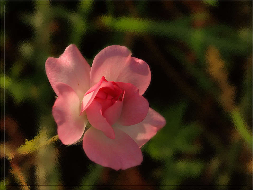 ������� �������� ����� ������  �� PhotoGeek.ru #������ ��� �������