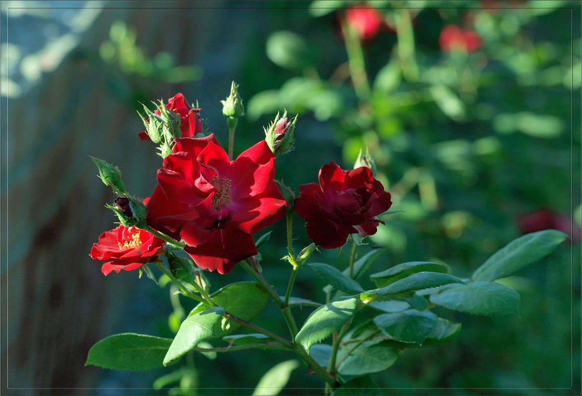 ������� � ����� ����� ������  �� PhotoGeek.ru #������ ��� �������