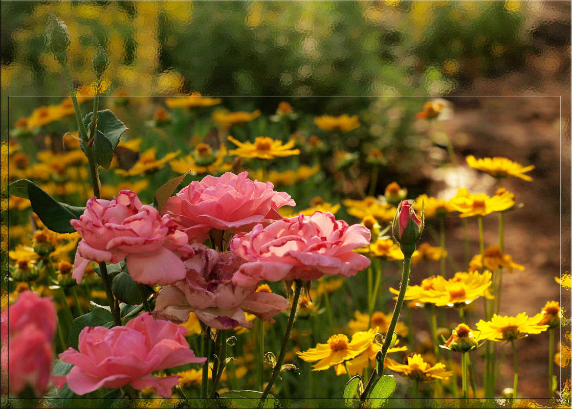 ������� � ����� 2 ����� ������  �� PhotoGeek.ru #������ ��� �������