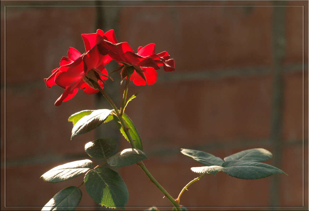 ������� � ����� 3 ����� ������  �� PhotoGeek.ru #������ ��� �������