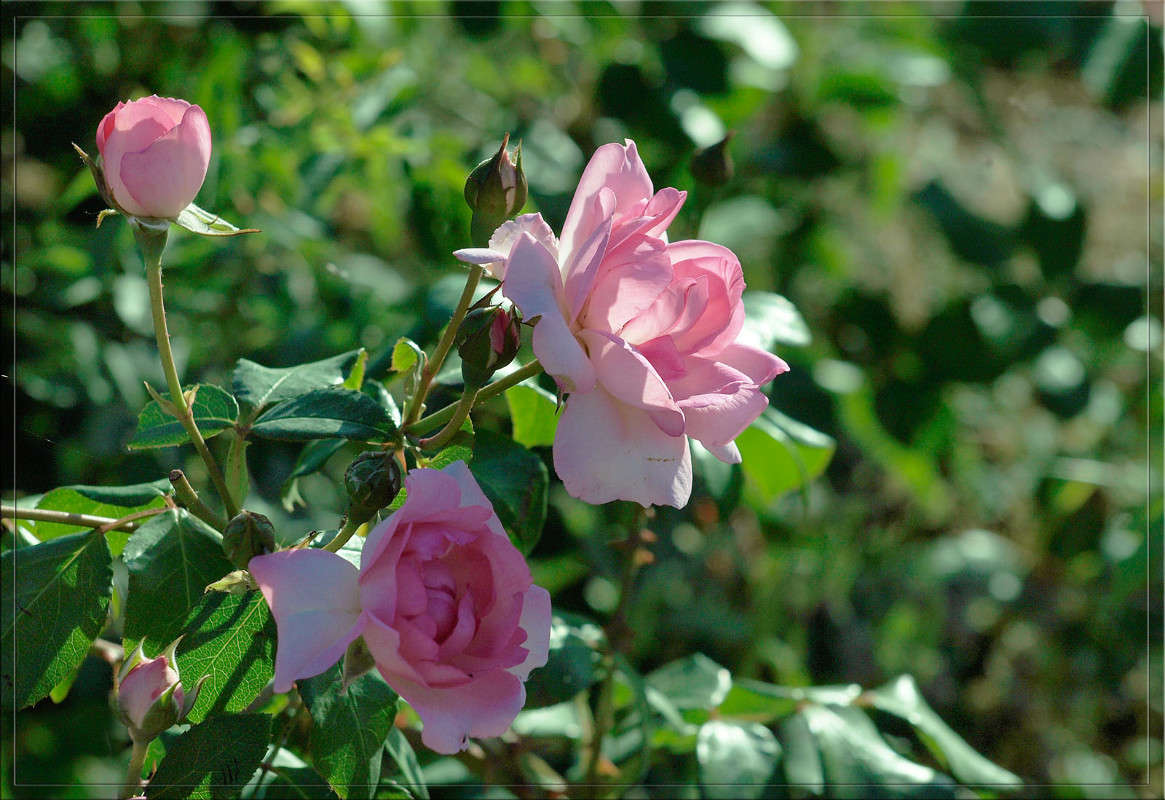 ������� � ����� 4 ����� ������  �� PhotoGeek.ru #������ ��� �������