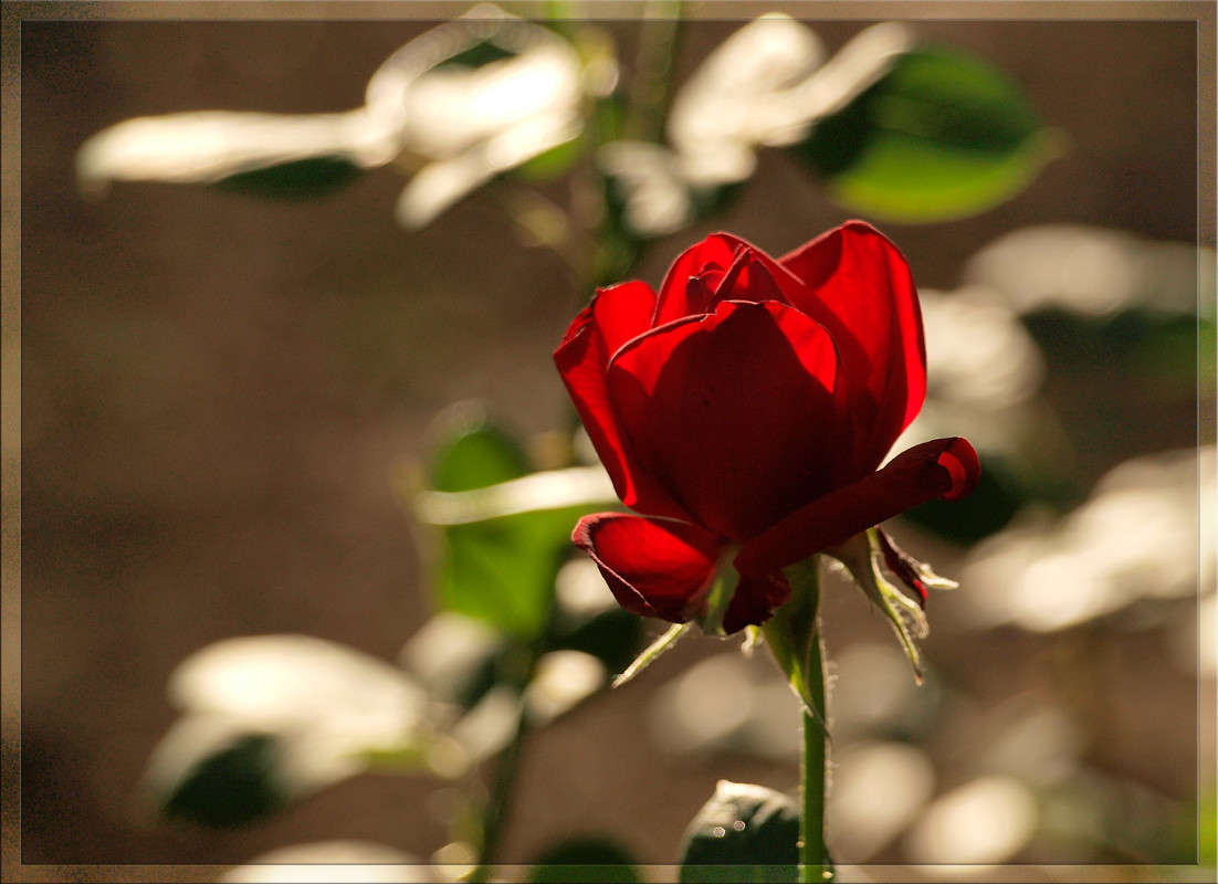 ������� � ����� 5 ����� ������  �� PhotoGeek.ru #������ ��� �������