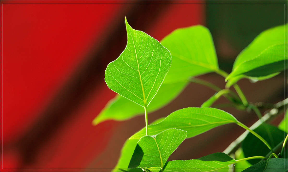 ��� ������ ����� ������  �� PhotoGeek.ru #������ ��� �������