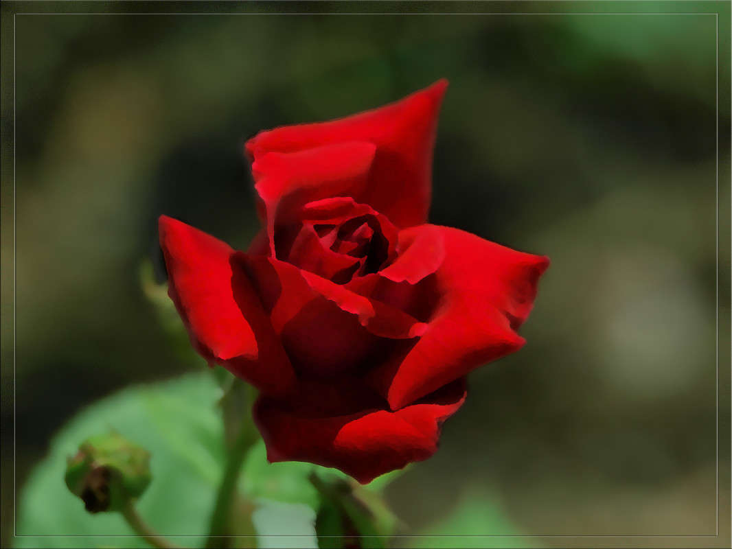 ������� � ����� 6 ����� ������  �� PhotoGeek.ru #������ ��� �������