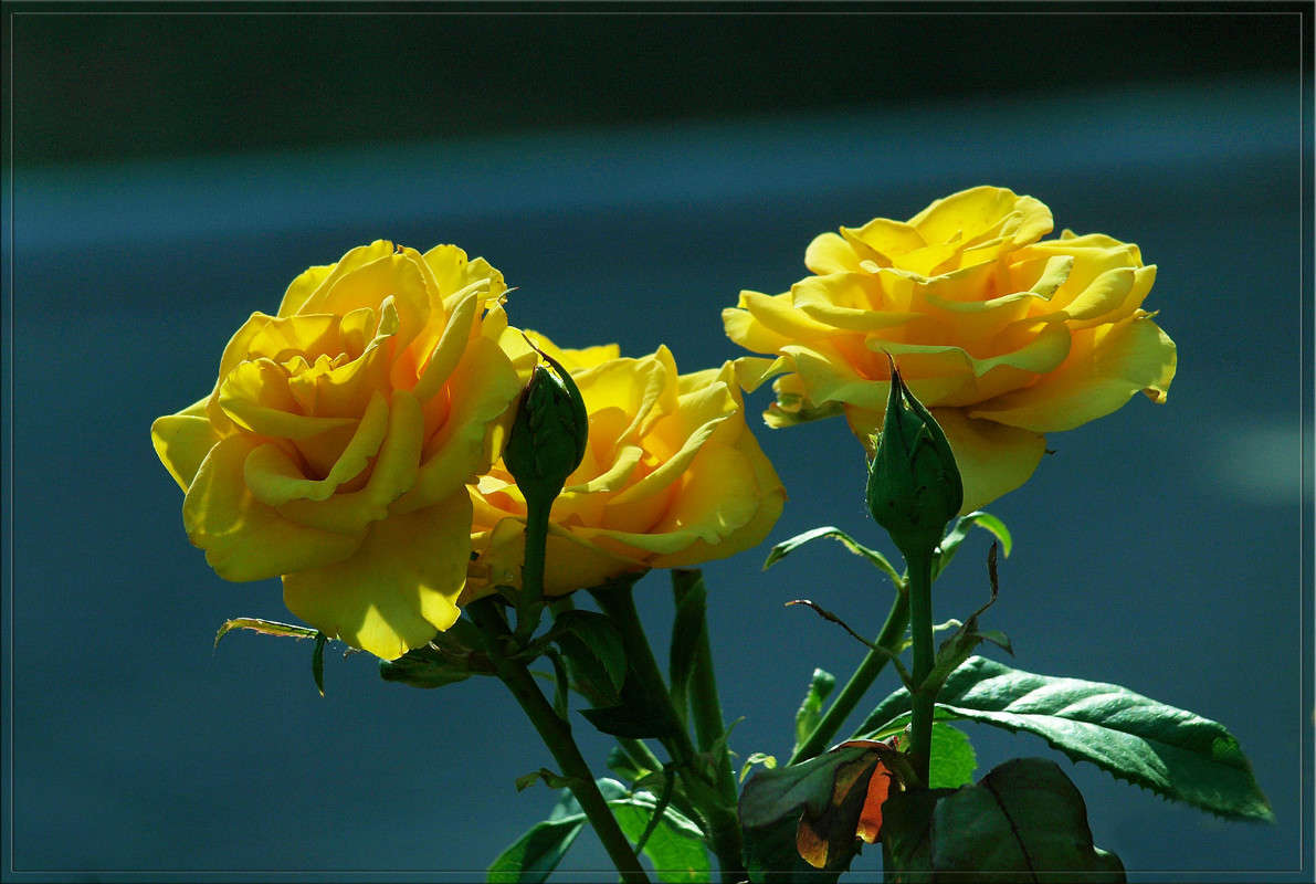 ������� � ����� 7 ����� ������  �� PhotoGeek.ru #������ ��� �������