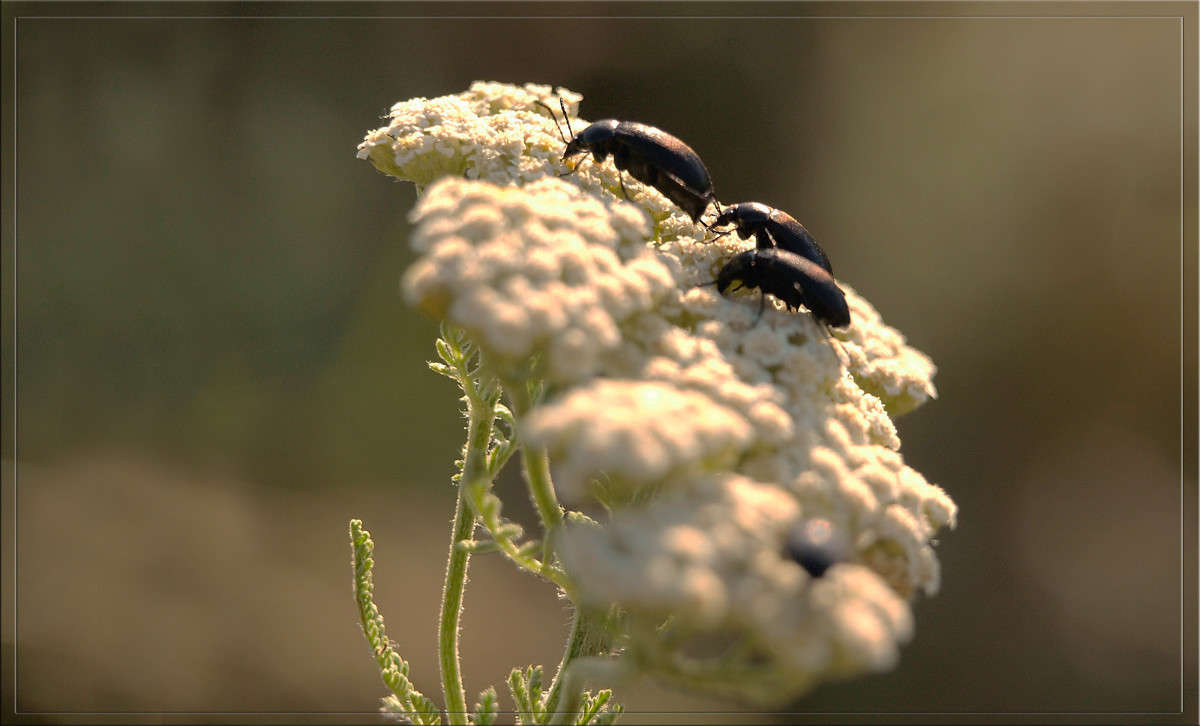 ������ ����� ������  �� PhotoGeek.ru #�����