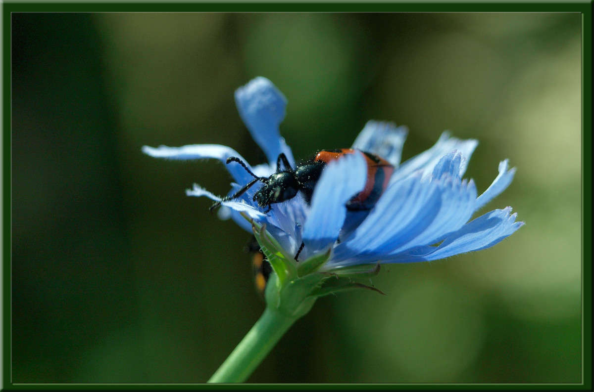 ������� �� "����" ����� ������  �� PhotoGeek.ru #�����