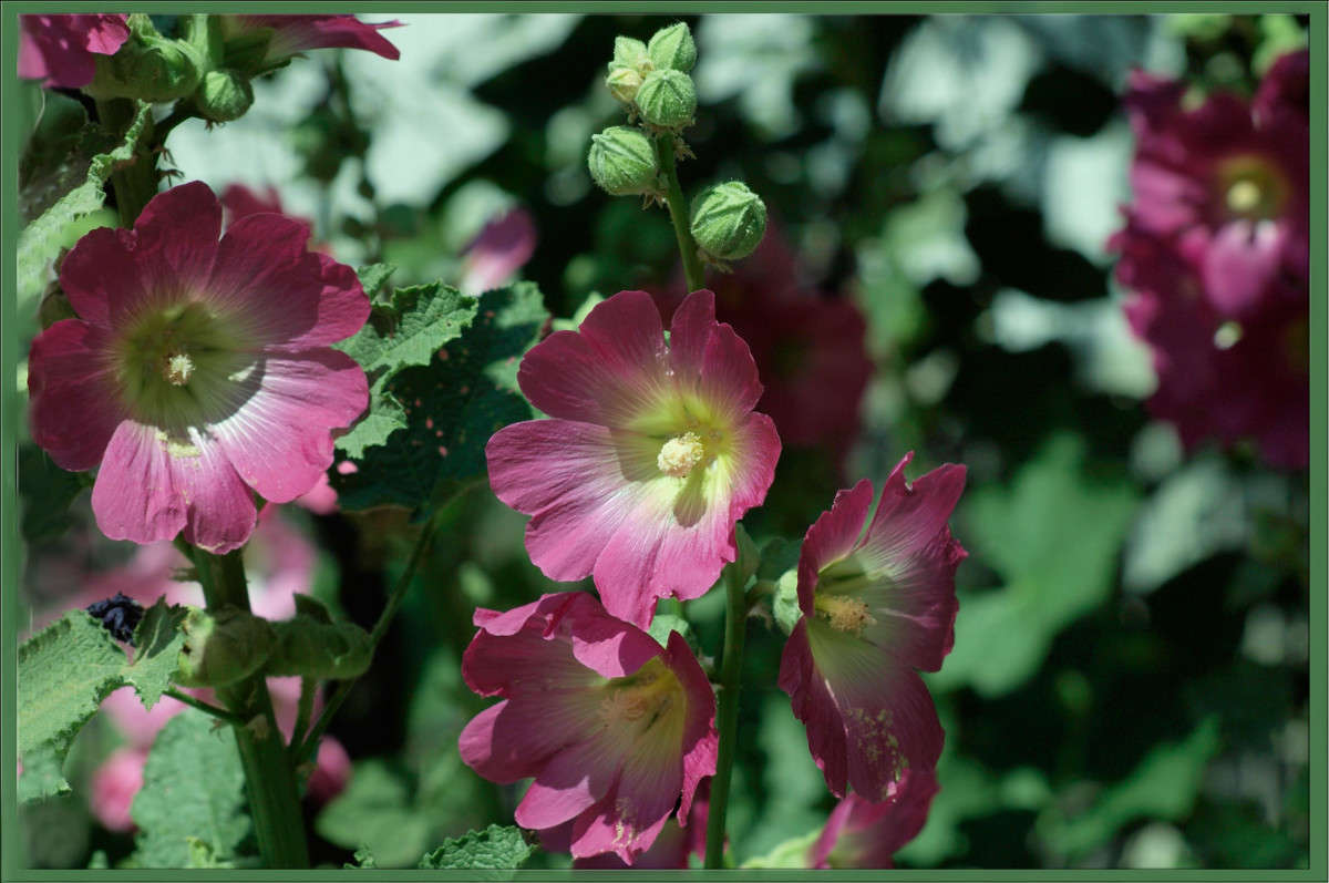 ������ 2 ����� ������  �� PhotoGeek.ru #������ ��� �������